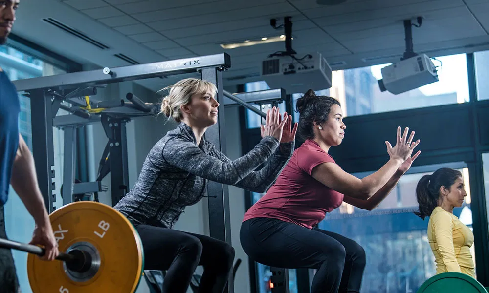 Small Group Wellness Experiences