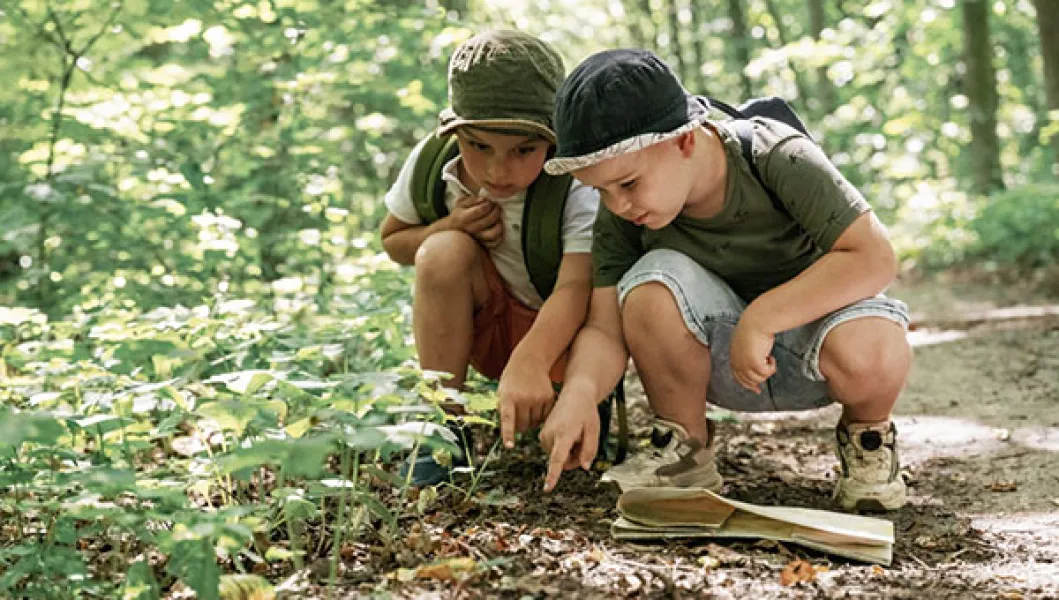 Two boys adventure seeking in the forest
