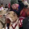 Dog Sledding at Menogyn
