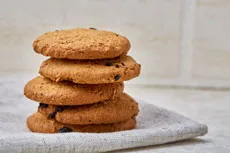 Chocolate Chip Protein Snacks