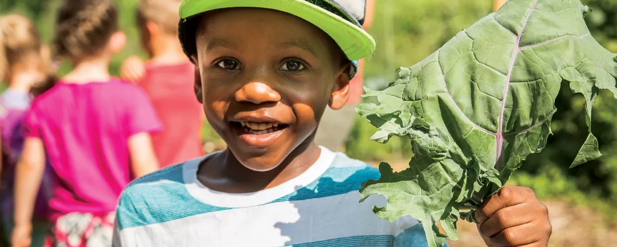 Boy holding vegetable leaf in garden