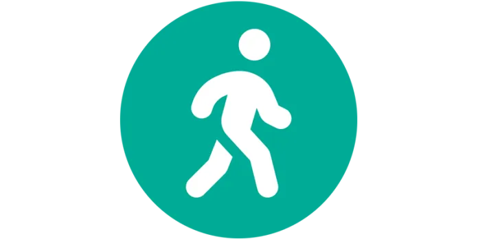 Move icon