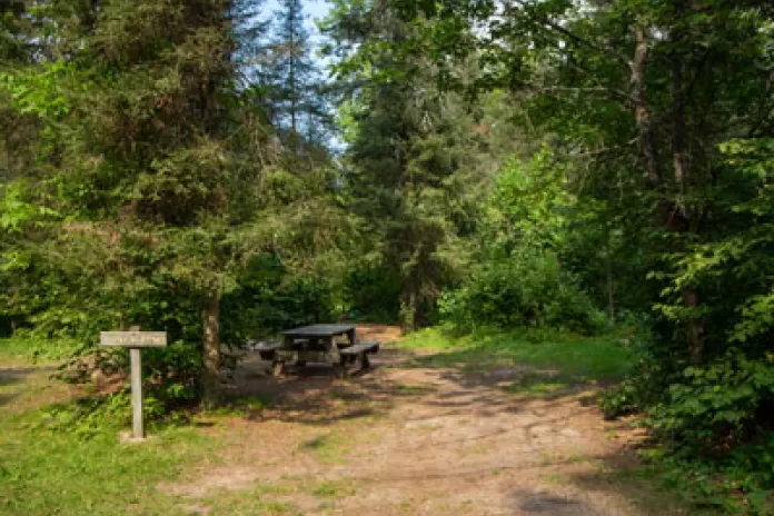 Coxey Pond Auto Tent Site