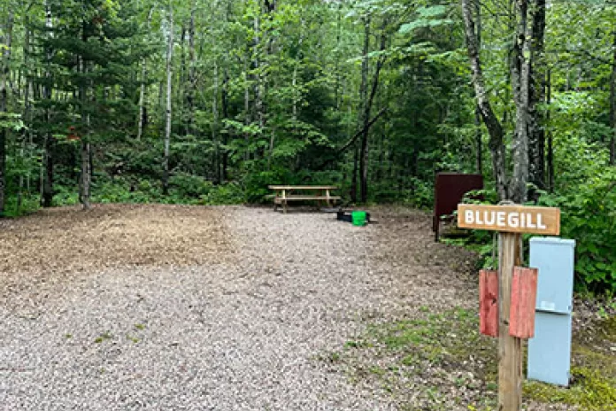 Bluegill Auto Tent Site