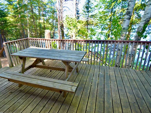 Cygnus cabin at Camp Northern Lights