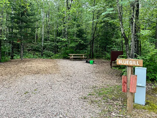 Bluegill Auto Tent Site