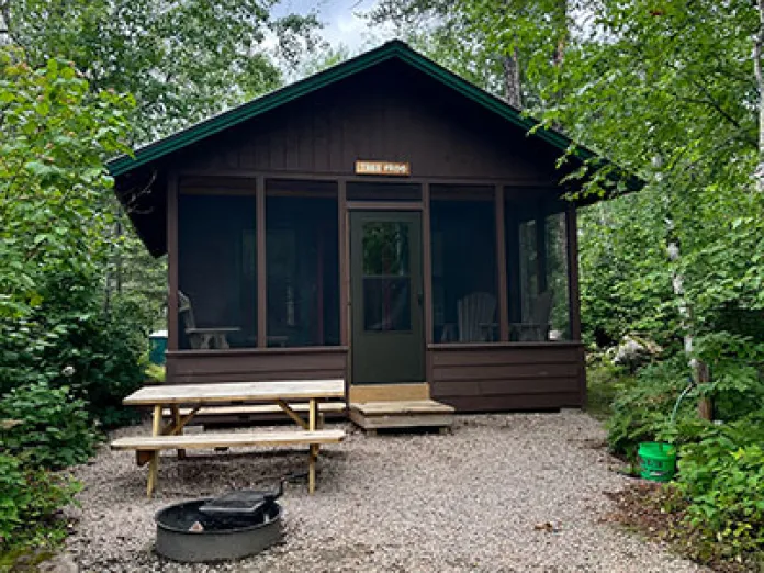 Tree Frog Platform Cabin